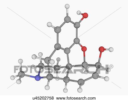 Morphine drug molecule View Large Illustration Stock Illustration - Morphine drug molecule. Fotosearch