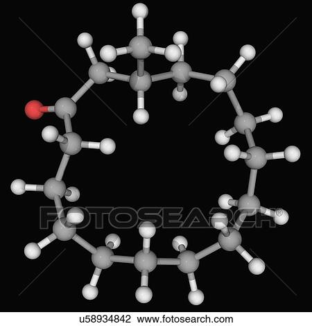 Drawing - Muscone molecule. Fotosearch