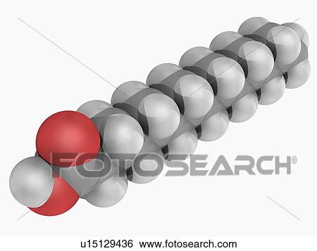 Stock Illustration - Myristic acid molecule. Fotosearch