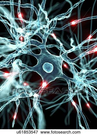 Stock Illustration - Nerve cells, artwork. Fotosearch