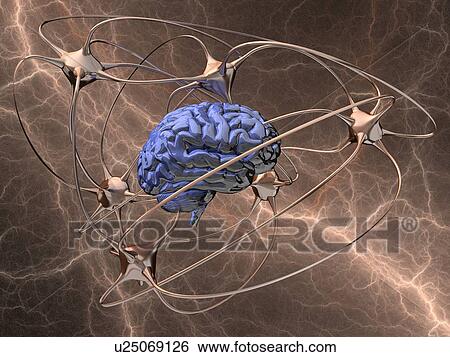 Neural network, conceptual artwork View Large Illustration Stock Illustration - Neural network, conceptual artwork. Fotosearch