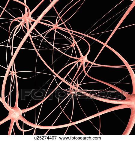 Stock Illustration - Neural network, conceptual artwork. Fotosearch