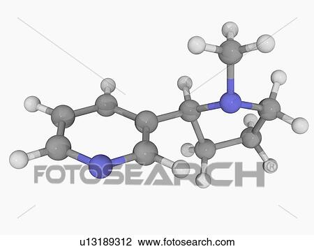 Nicotine molecule View Large Illustration Drawing - Nicotine molecule. Fotosearch
