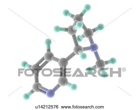 Stock Illustration - Nicotine molecule. Fotosearch