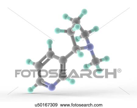 Stock Illustration - Nicotine molecule. Fotosearch