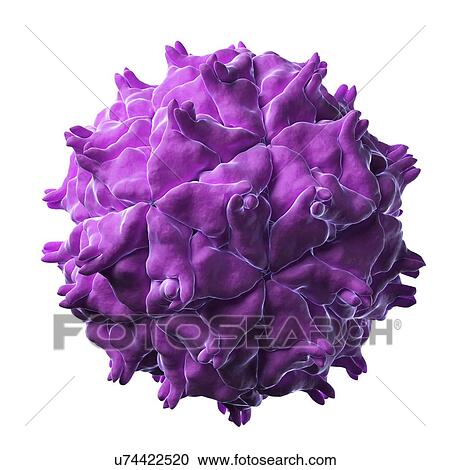 Clipart - Nodamura virus particle. Fotosearch
