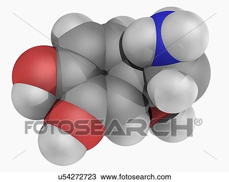 Norepinephrine molecule View Large Illustration Drawing - Norepinephrine molecule. Fotosearch