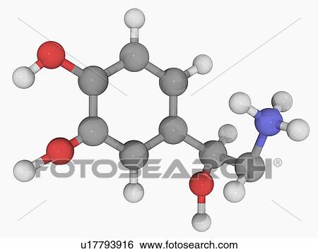 Norepinephrine molecule View Large Illustration Stock Illustration - Norepinephrine molecule. Fotosearch