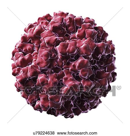 Norovirus particle View Large Illustration Stock Illustration - Norovirus particle. Fotosearch