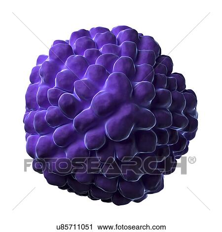Clip Art - Nudaurelia capensis omega virus particle. Fotosearch