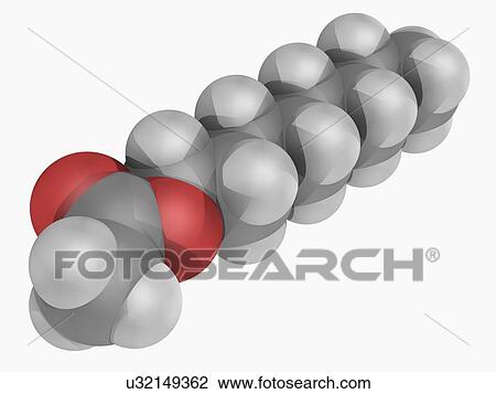 Octyl acetate molecule View Large Illustration Drawing - Octyl acetate molecule. Fotosearch
