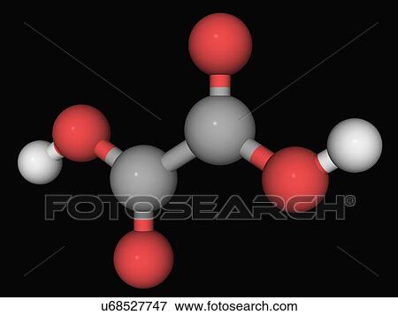 Oxalic acid molecule View Large Illustration Stock Illustration - Oxalic acid molecule. Fotosearch