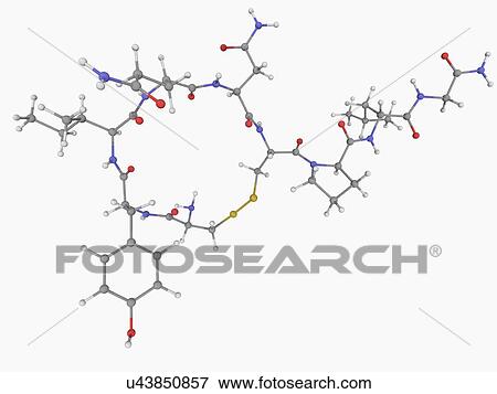 Stock Illustration - Oxytocin hormone molecule. Fotosearch