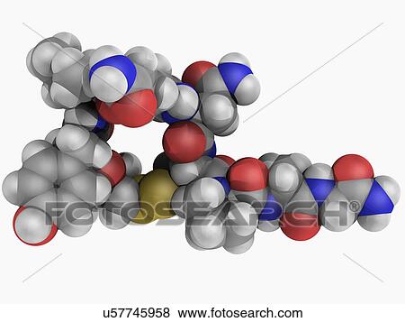 Oxytocin hormone molecule View Large Illustration Stock Illustration - Oxytocin hormone molecule. Fotosearch