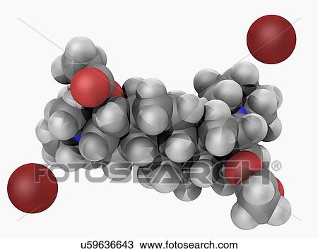 Drawing - Pancuronium bromide drug molecule. Fotosearch