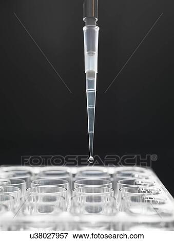 Pipetting View Large Illustration Stock Illustration - Pipetting. Fotosearch