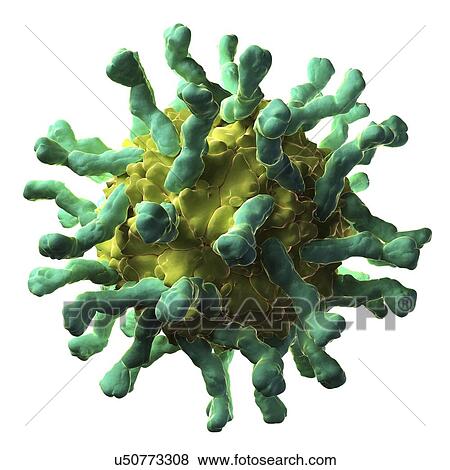 Poliovirus-receptor complex View Large Illustration Stock Illustration - Poliovirus-receptor complex. Fotosearch