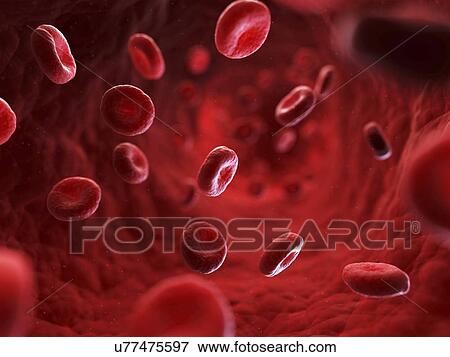 Red blood cells, artwork View Large Illustration Stock Illustration - Red blood cells, artwork. Fotosearch