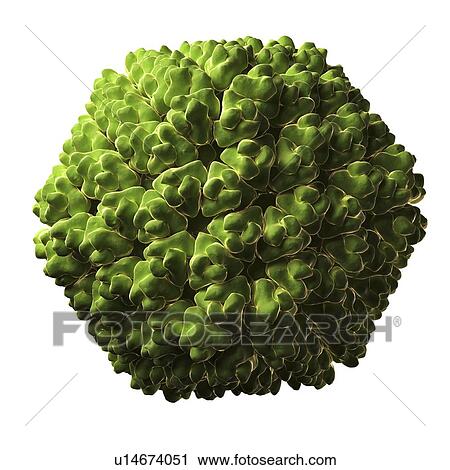 Clip Art - Rice dwarf virus particle. Fotosearch