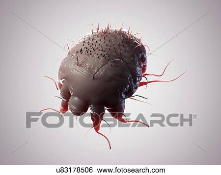Stock Illustration - Scabies mite, artwork. Fotosearch