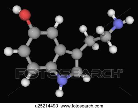 Serotonin molecule View Large Illustration Drawing - Serotonin molecule. Fotosearch