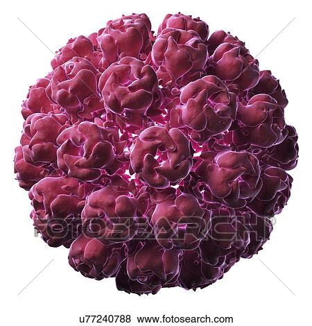 Stock Illustration - Simian virus 40 particle. Fotosearch