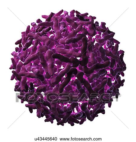 Clipart - Sindbis virus particle. Fotosearch