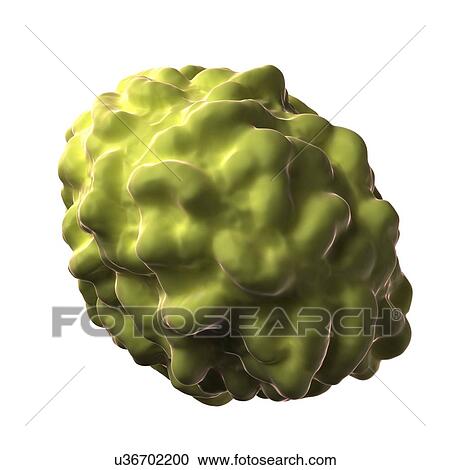 Smallpox virus particle View Large Illustration Clipart - Smallpox virus particle. Fotosearch