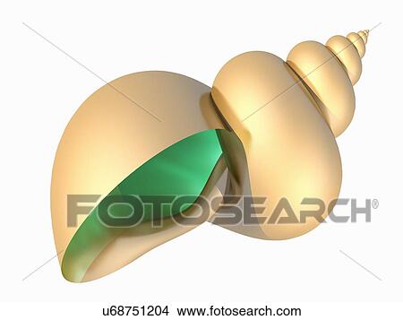 Snail shell, artwork View Large Illustration Stock Illustration - Snail shell, artwork. Fotosearch