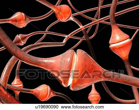 Synapses, artwork View Large Illustration Clipart - Synapses, artwork. Fotosearch