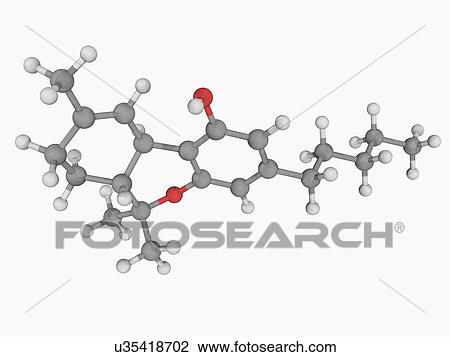Tetrahydrocannabinol THC drug molecule View Large Illustration Drawing - Tetrahydrocannabinol THC drug molecule. Fotosearch