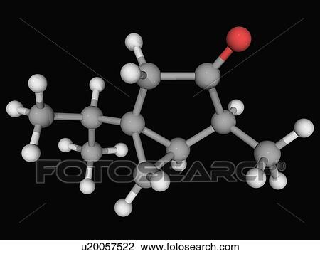 Drawing - Thujone molecule. Fotosearch