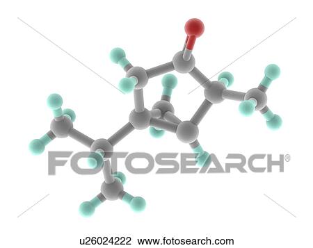 Thujone molecule View Large Illustration Drawing - Thujone molecule. Fotosearch