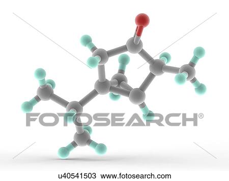 Thujone molecule View Large Illustration Drawing - Thujone molecule. Fotosearch
