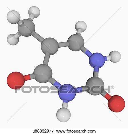 Thymine molecule View Large Illustration Stock Illustration - Thymine molecule. Fotosearch