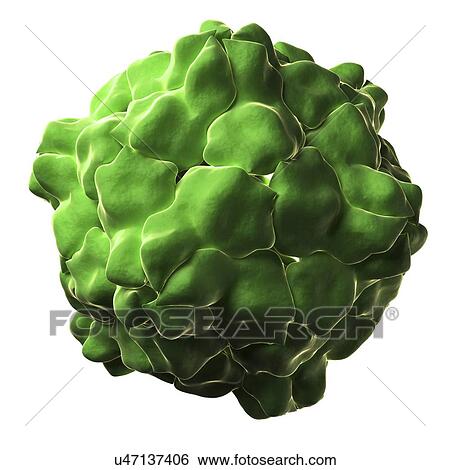 Stock Illustration - Tobacco ringspot virus particle. Fotosearch