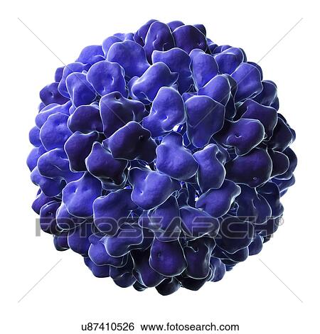 Stock Illustration - Tomato aspermy virus particle. Fotosearch
