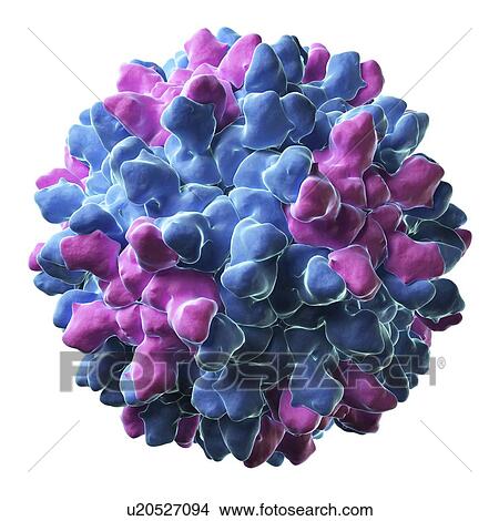 Tomato bushy stunt virus particle View Large Illustration Stock Illustration - Tomato bushy stunt virus particle. Fotosearch