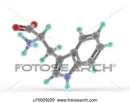 Clipart - Tryptophan molecule. Fotosearch