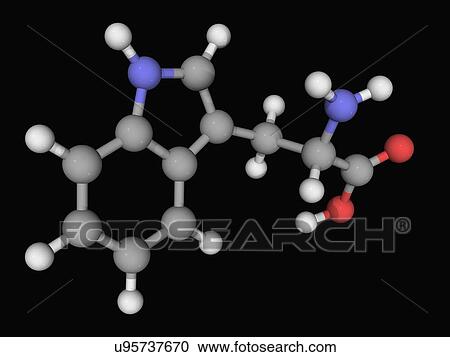 Clipart - Tryptophan molecule. Fotosearch