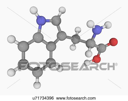 Tryptophan molecule View Large Illustration Stock Illustration - Tryptophan molecule. Fotosearch