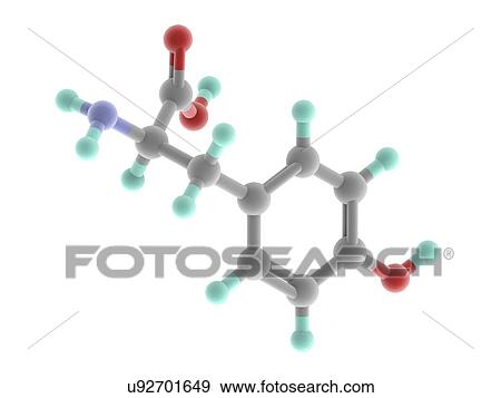 Stock Illustration - Tyrosine molecule. Fotosearch