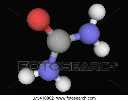 Urea molecule View Large Illustration Drawing - Urea molecule. Fotosearch