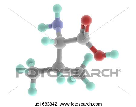 Drawing - Valine molecule. Fotosearch