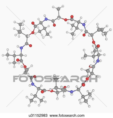 Valinomycin molecule View Large Illustration Drawing - Valinomycin molecule. Fotosearch