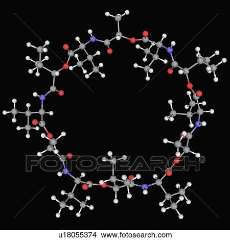 Valinomycin molecule View Large Illustration Stock Illustration - Valinomycin molecule. Fotosearch