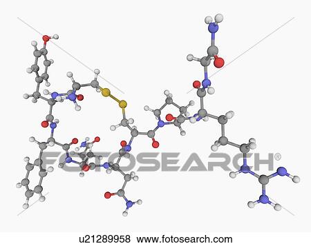 Vasopressin hormone molecule View Large Illustration Stock Illustration - Vasopressin hormone molecule. Fotosearch