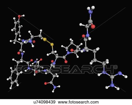 Vasopressin hormone molecule View Large Illustration Stock Illustration - Vasopressin hormone molecule. Fotosearch