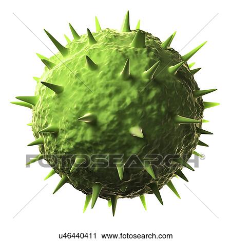 Venezuelan haemorrhagic fever virus View Large Illustration Clip Art - Venezuelan haemorrhagic fever virus. Fotosearch