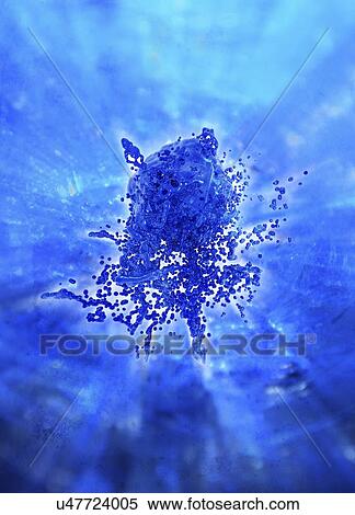 Viral infection, conceptual artwork View Large Illustration Stock Illustration - Viral infection, conceptual artwork. Fotosearch